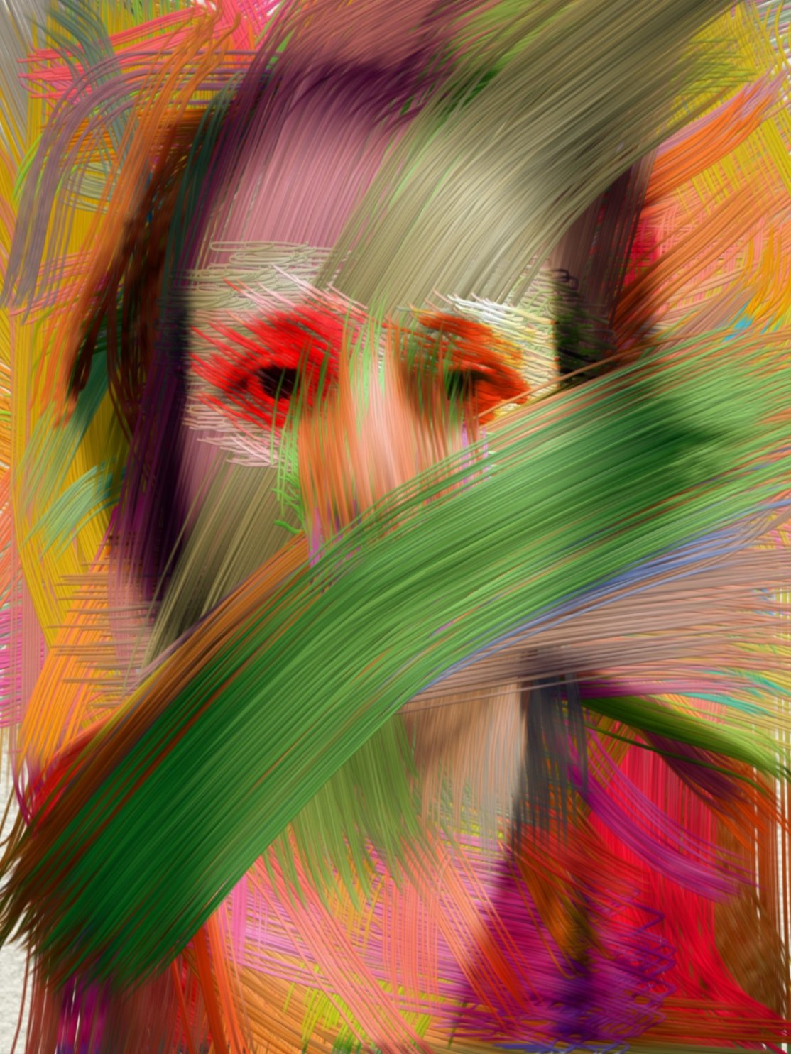 Self Portrait of the Silence, by Jane Fox